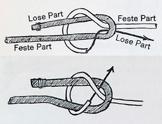 Rauscheknoten